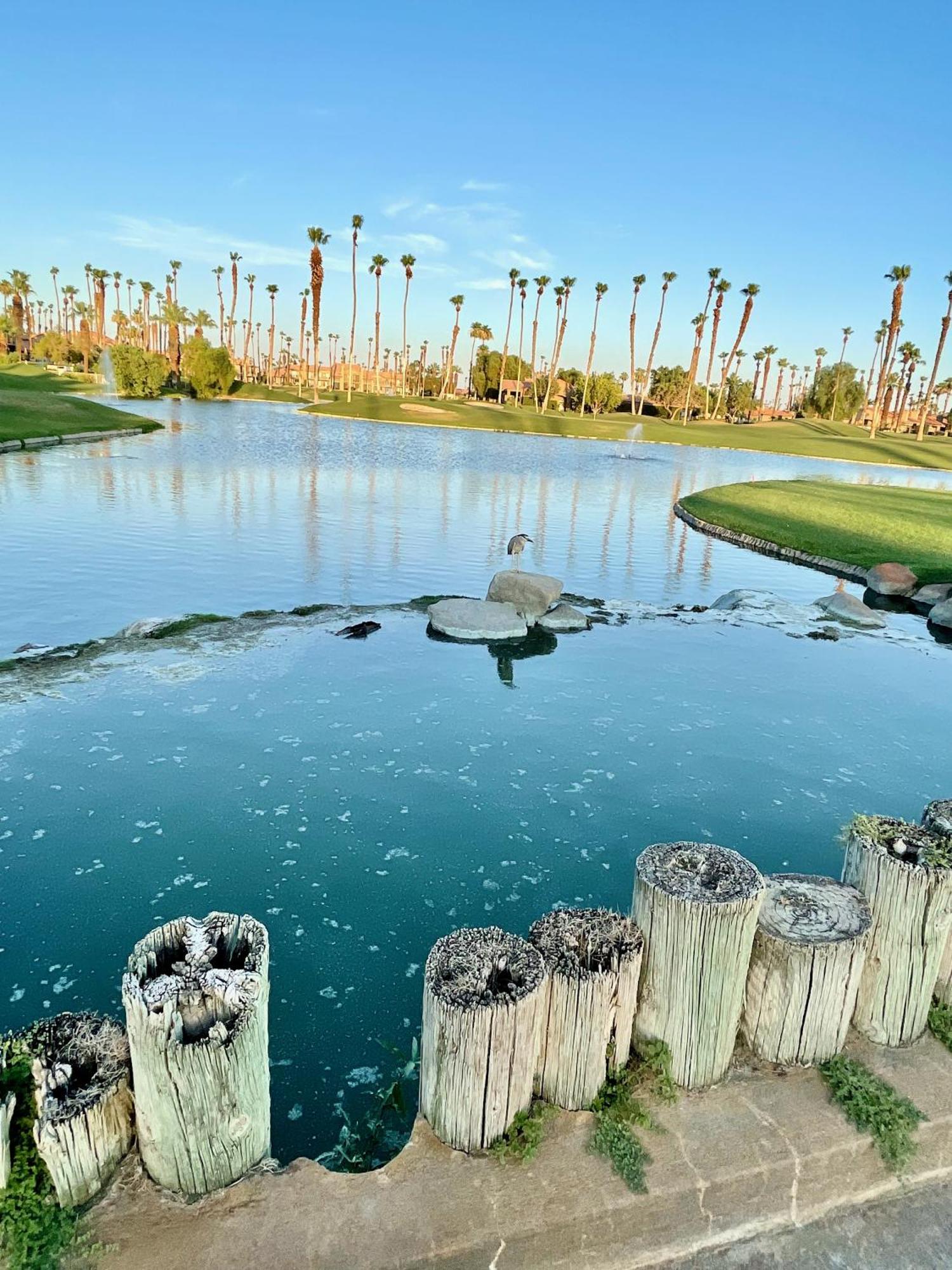 The View! Palm Desert Country Club Villa Eksteriør billede