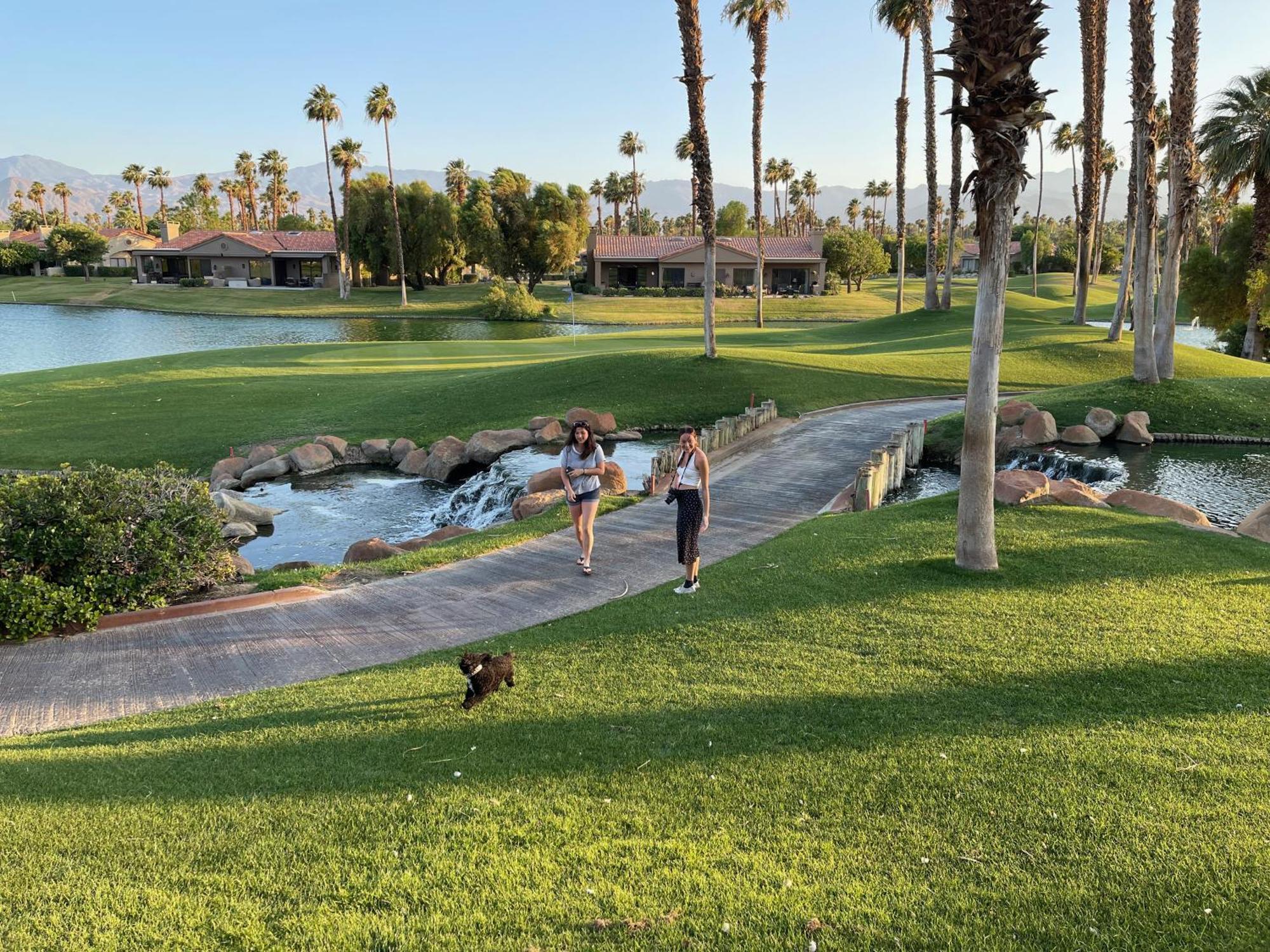 The View! Palm Desert Country Club Villa Eksteriør billede